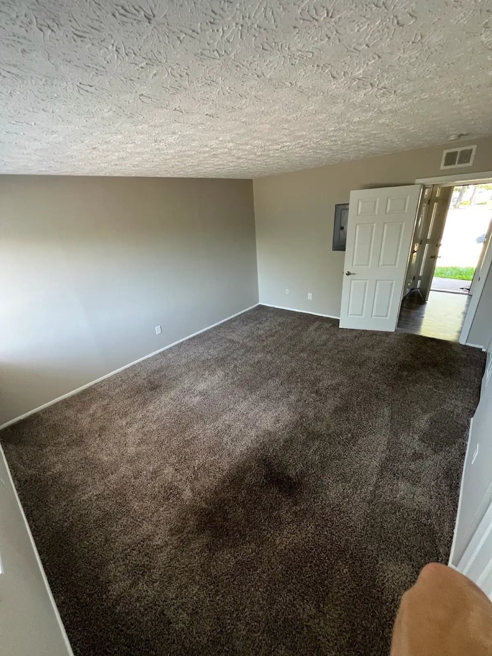 Rental living room before cleaning: carpet dulled and matted down through the walkway