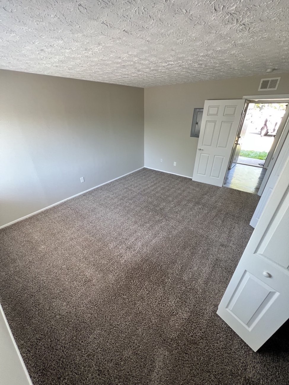 The same living room after cleaning: the pile lifted, the traffic lanes gone, colour even across the floor